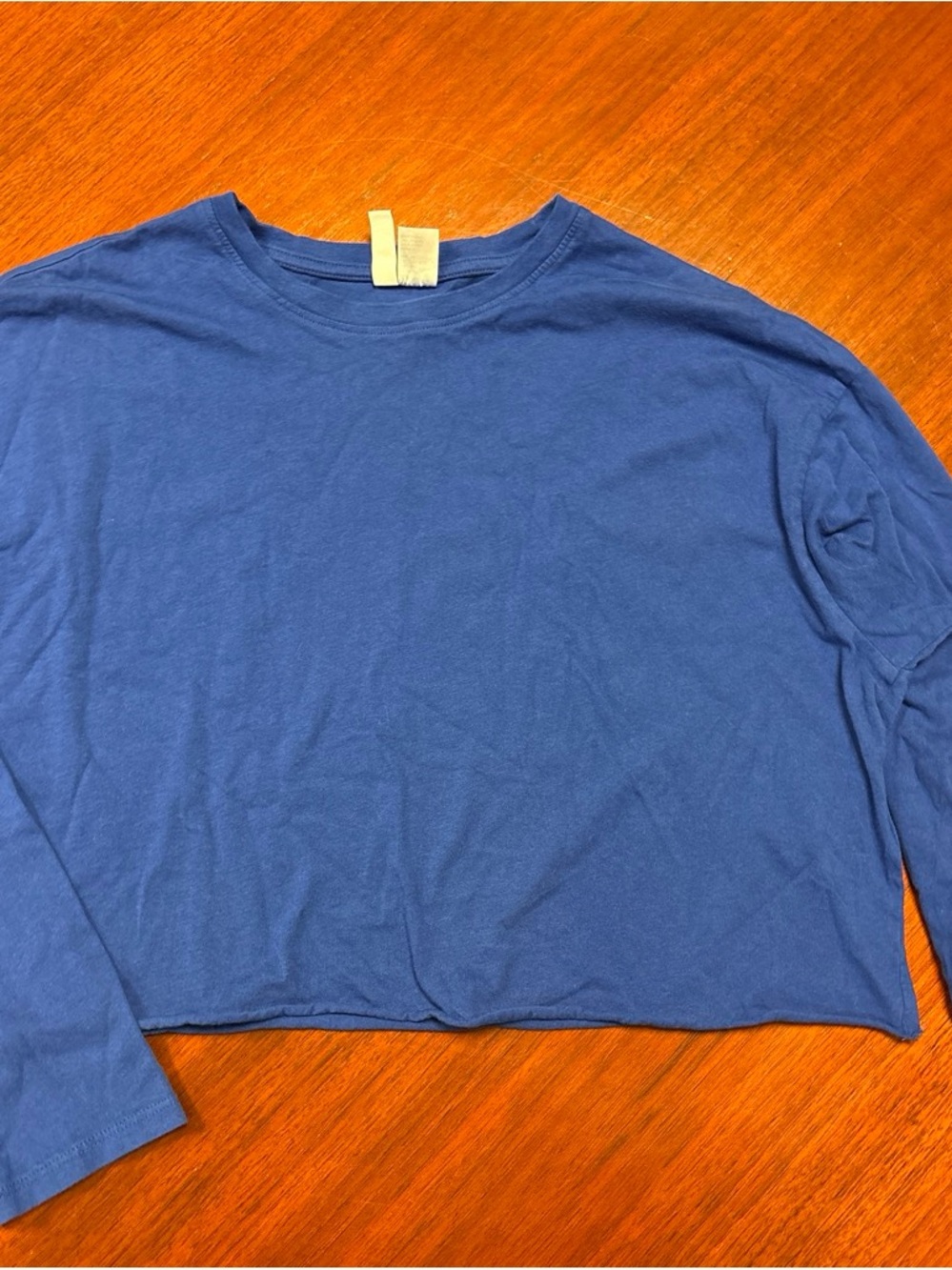 Divided Blue Long-Sleeve Crop Tee